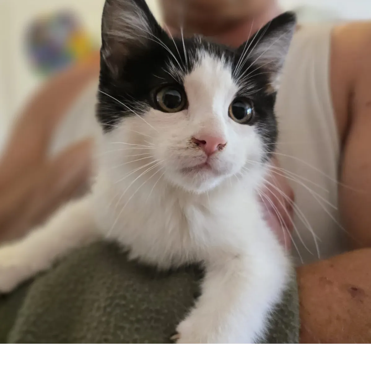 Photo de Freya