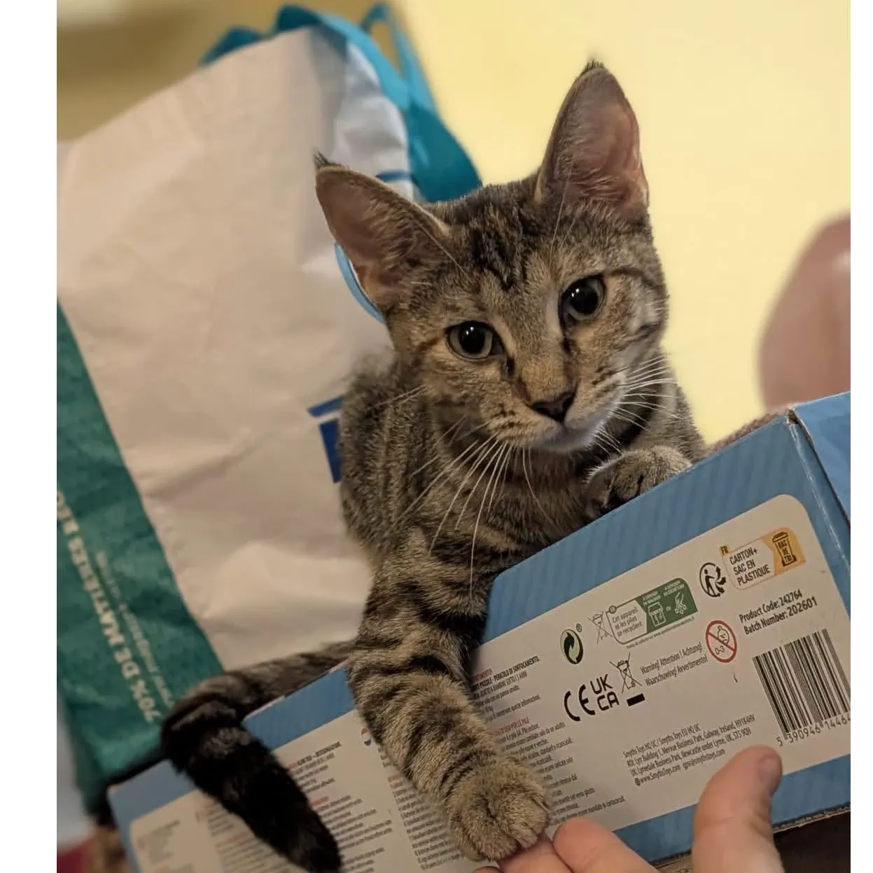 Photo de Béryl